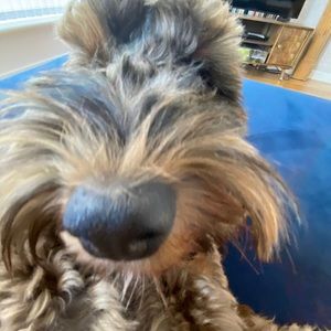 Meet your Posher, Lena